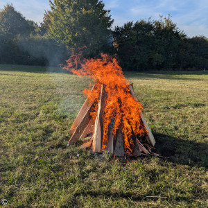Kartoffelfeuer 3